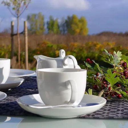 Daenische Ferienhaeuser Am Salzhaff Haus Poseidon *