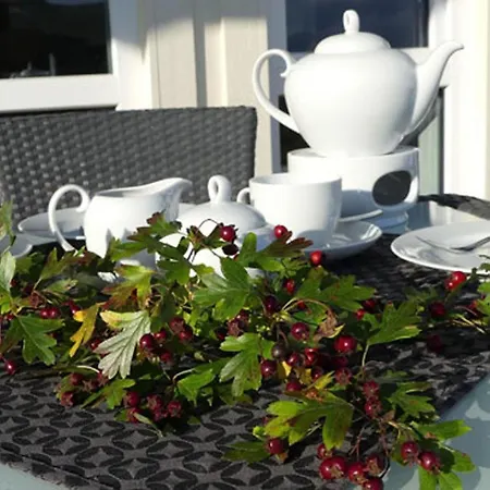 Daenische Ferienhaeuser Am Salzhaff Haus Poseidon Dom wakacyjny Wyspa Poel